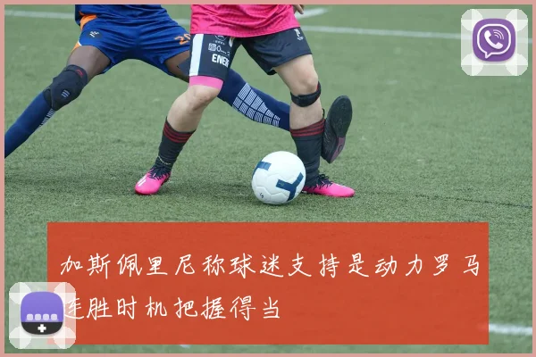 加斯佩里尼称球迷支持是动力罗马连胜时机把握得当